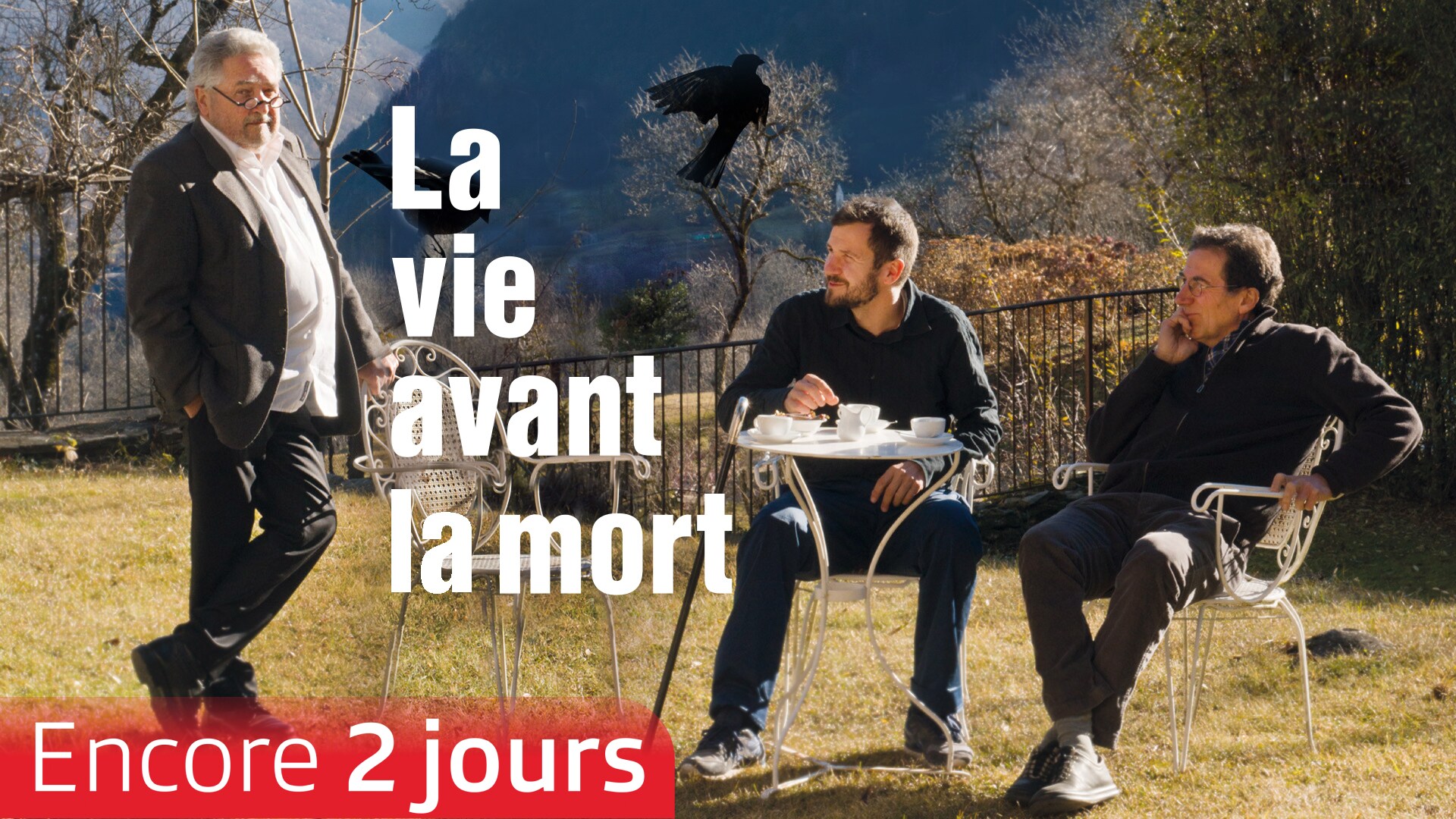 La vie avant la mort