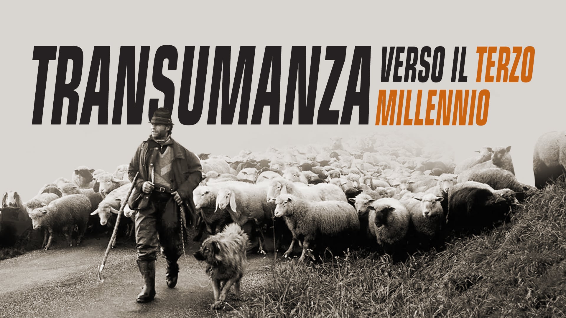 Transumanza verso il terzo millennio