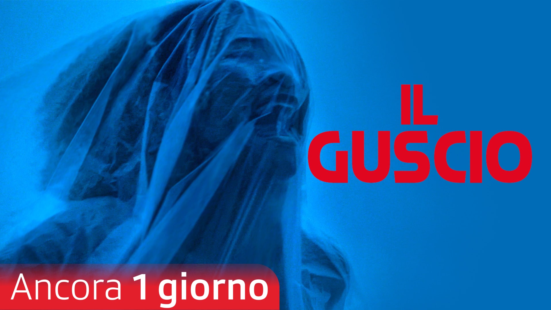 Il guscio