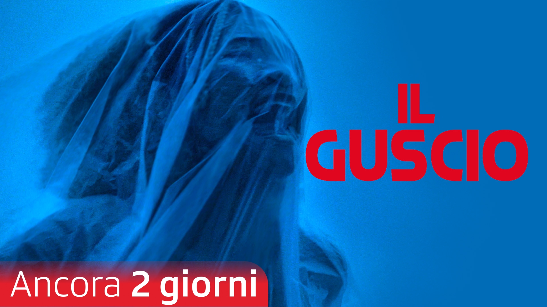 Il guscio