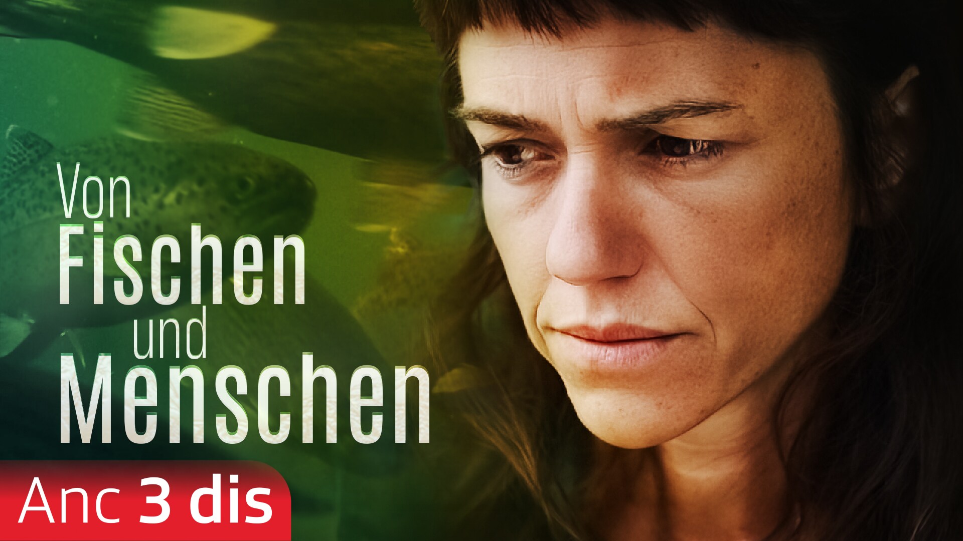 Von Fischen und Menschen