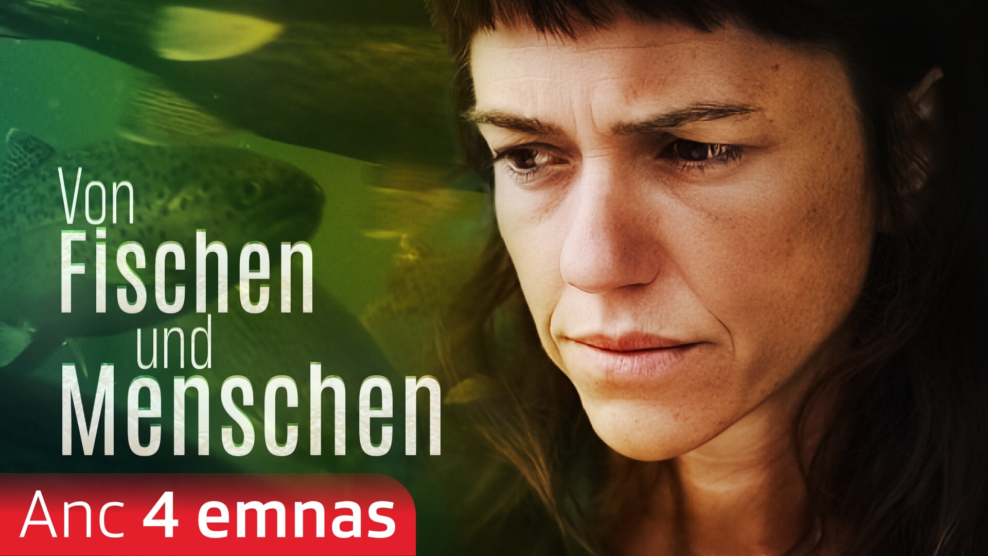 Von Fischen und Menschen