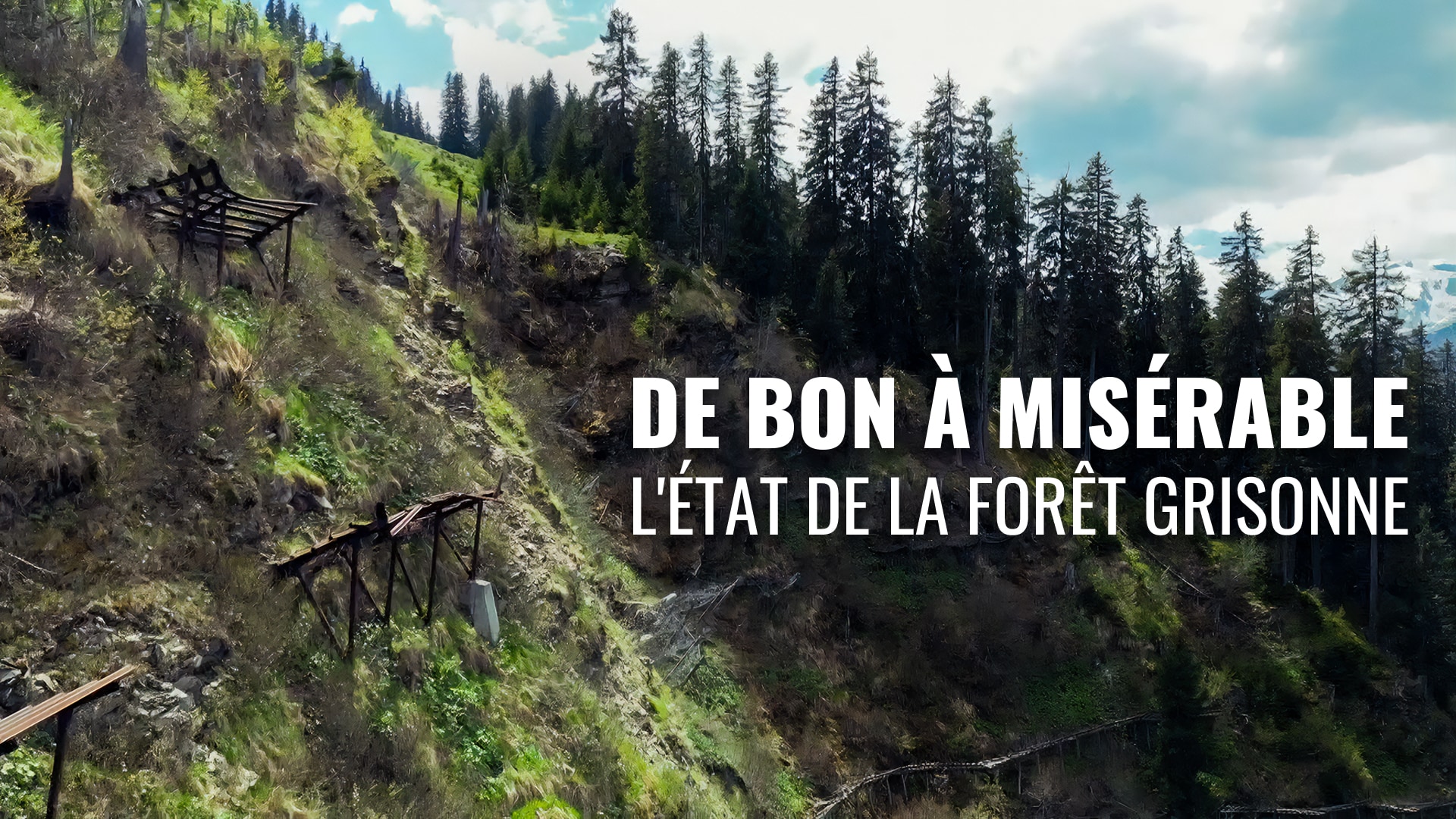 L'état de la forêt grisonne