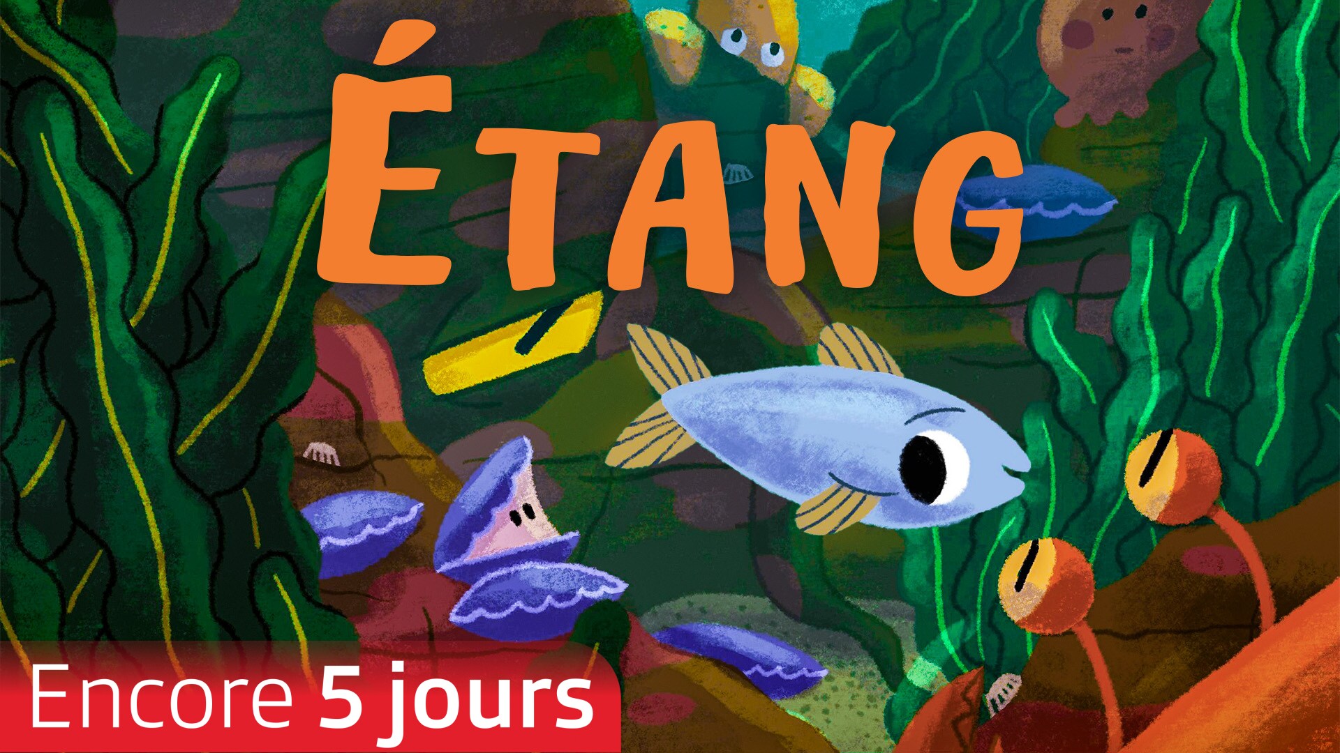 Étang