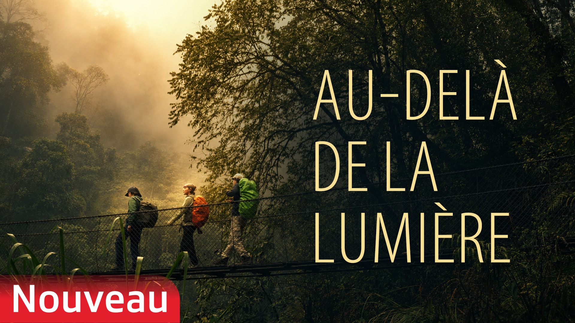 Au-delà de la lumière