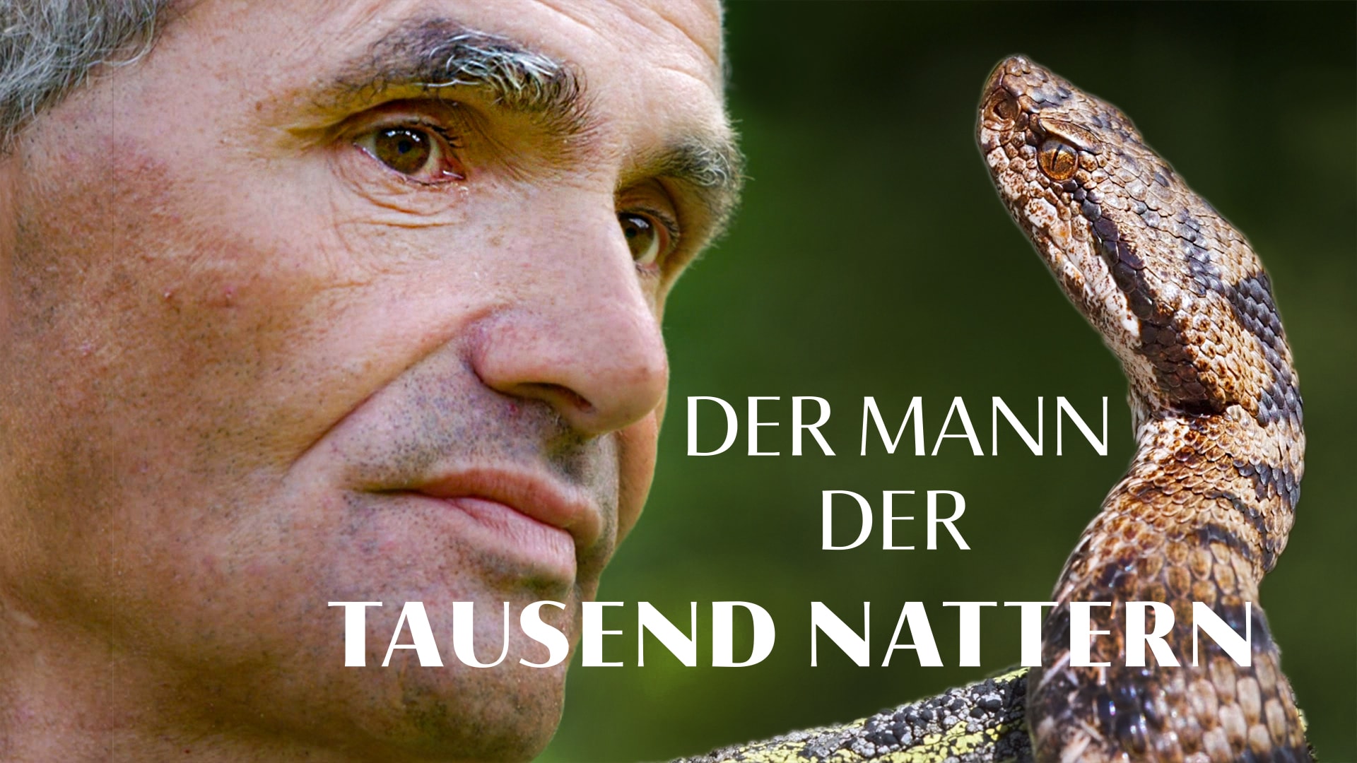 Der Mann der tausend Nattern