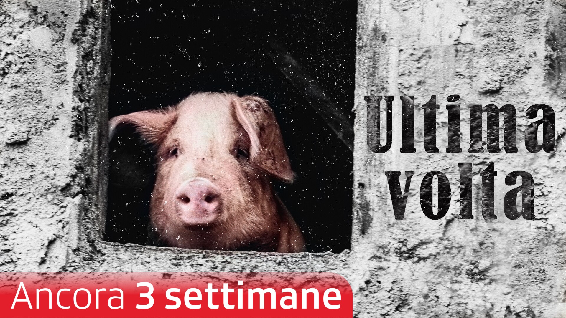 L'ultima volta