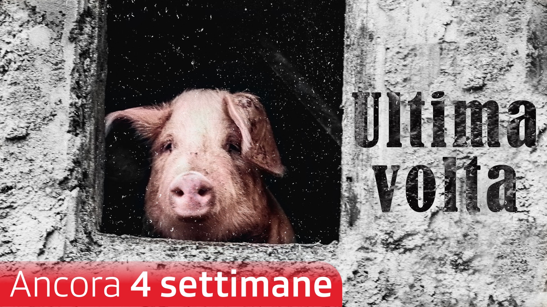 L'ultima volta