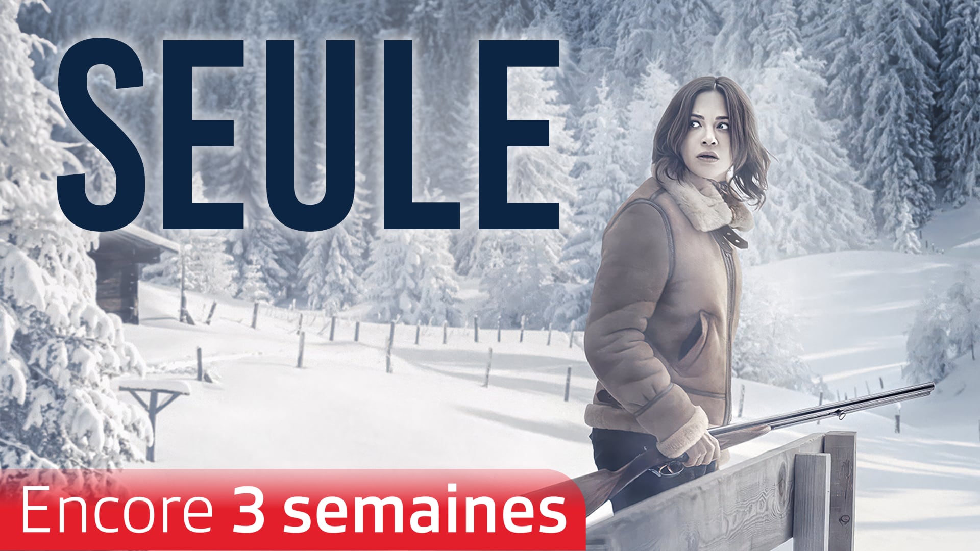 Seule : Les dossiers Silvercloud