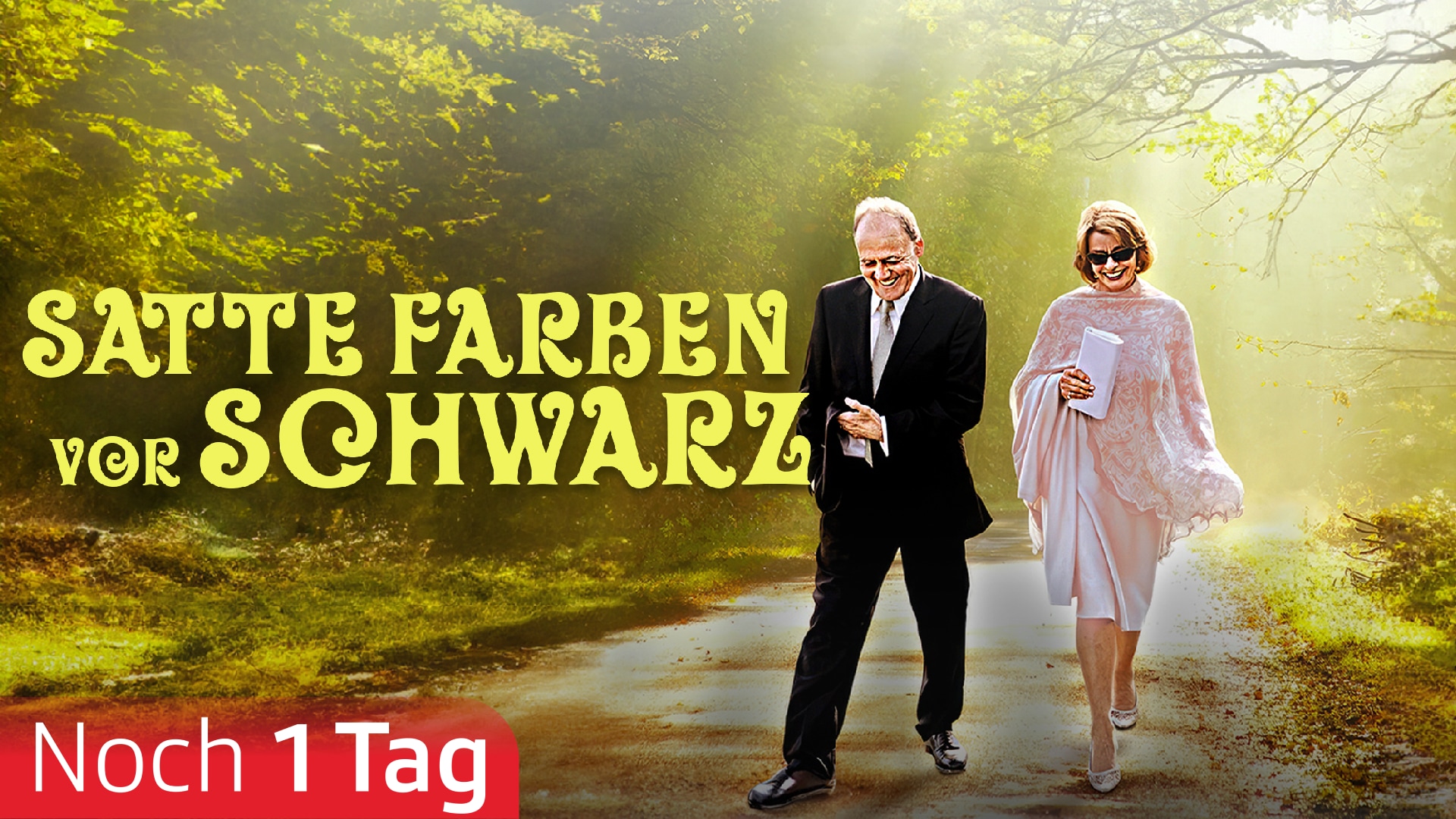 Satte Farben vor Schwarz