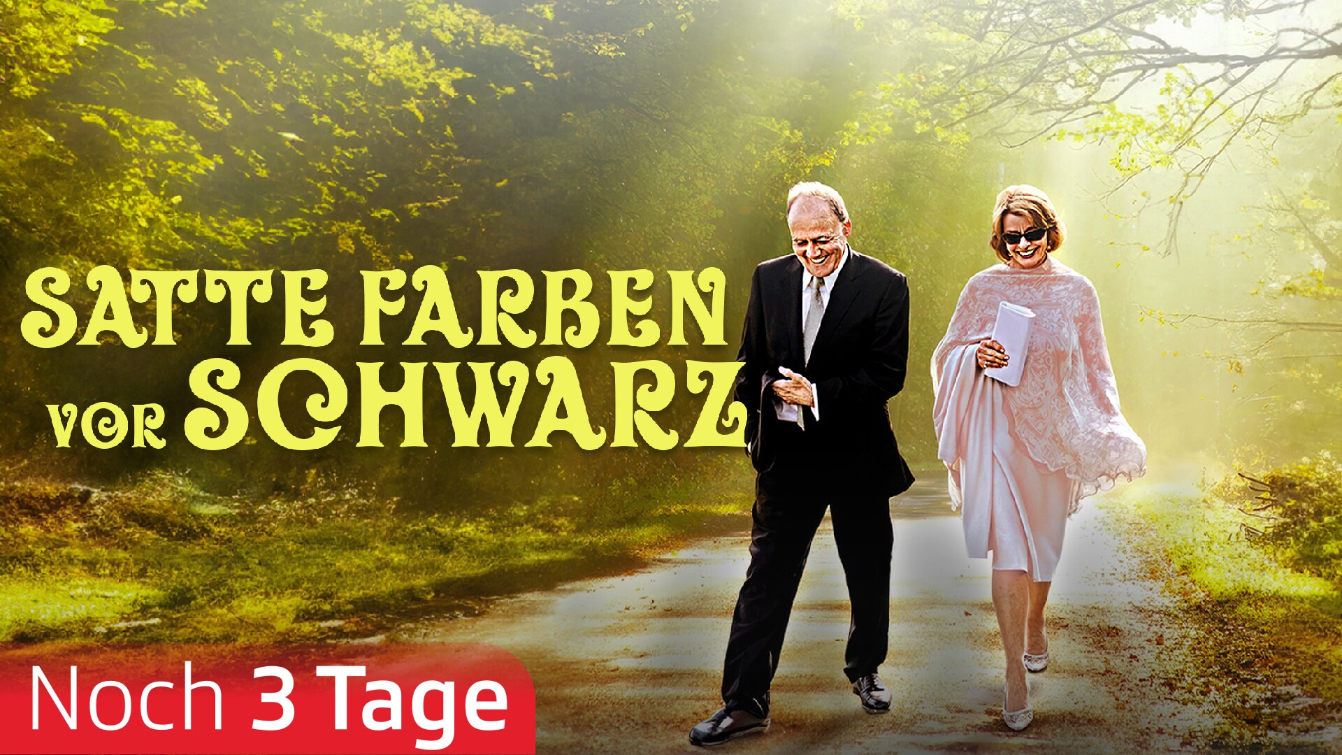 Satte Farben vor Schwarz