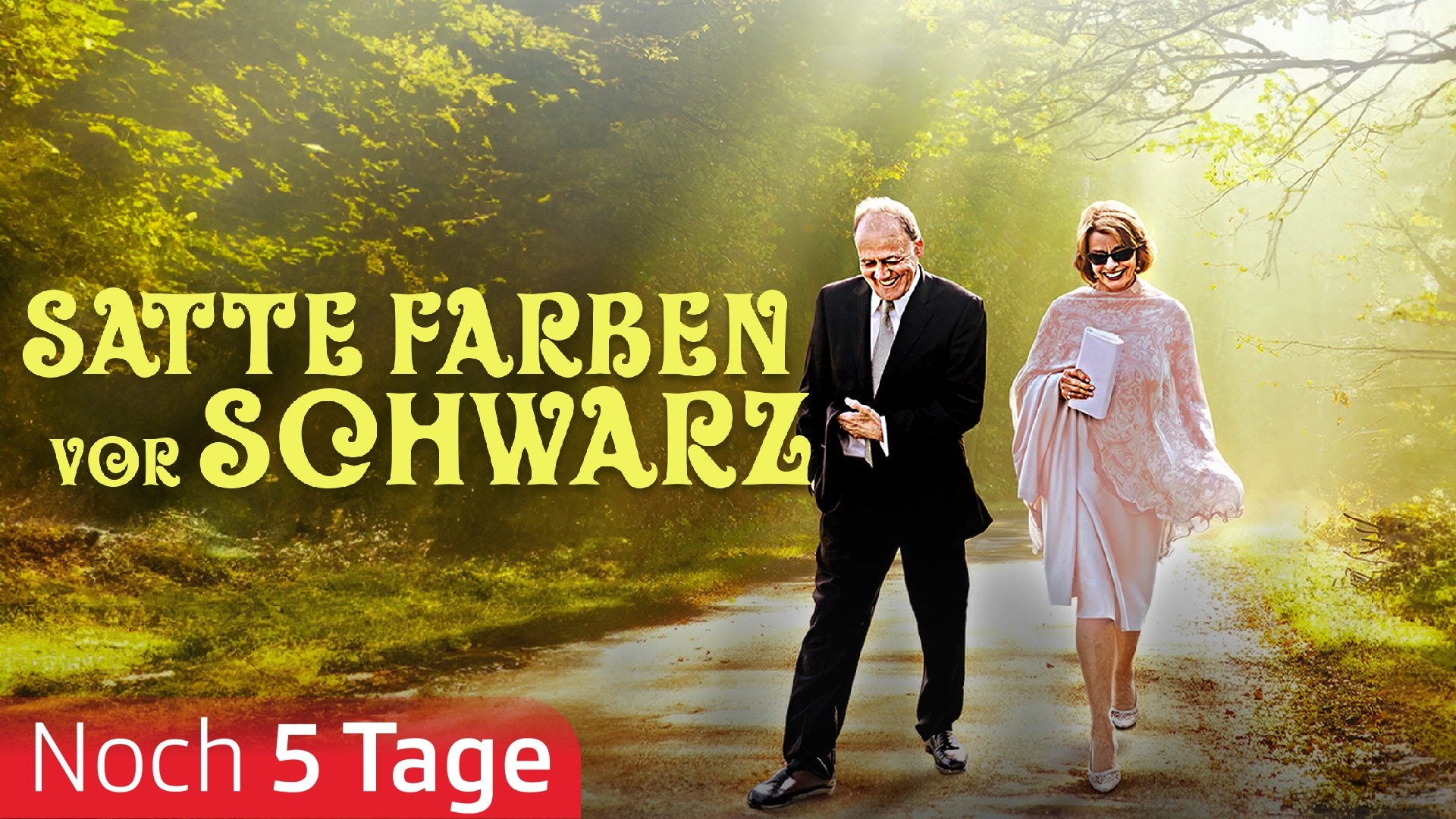 Satte Farben vor Schwarz