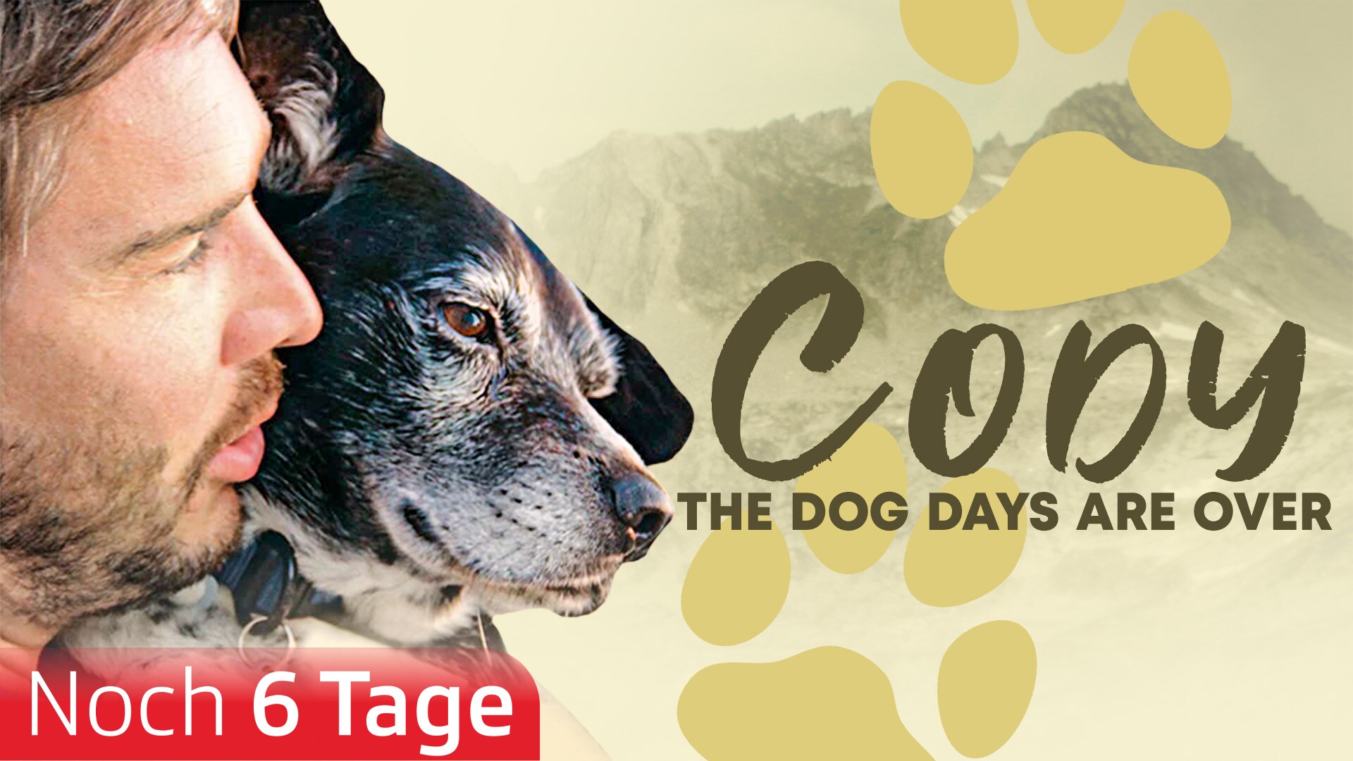 Cody - The Dog Days are over