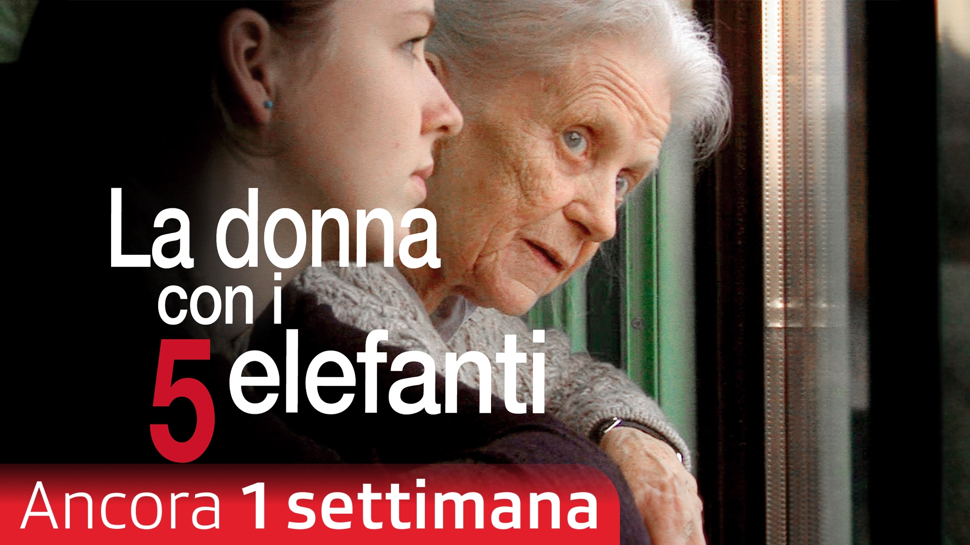 La donna con i 5 elefanti