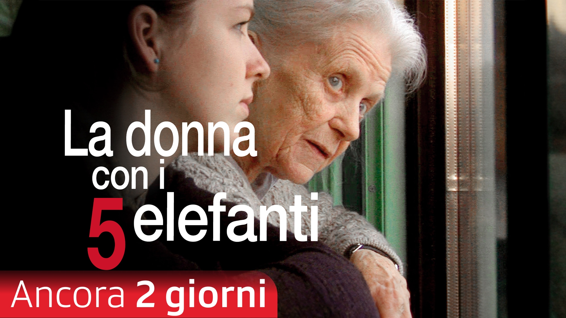 La donna con i 5 elefanti