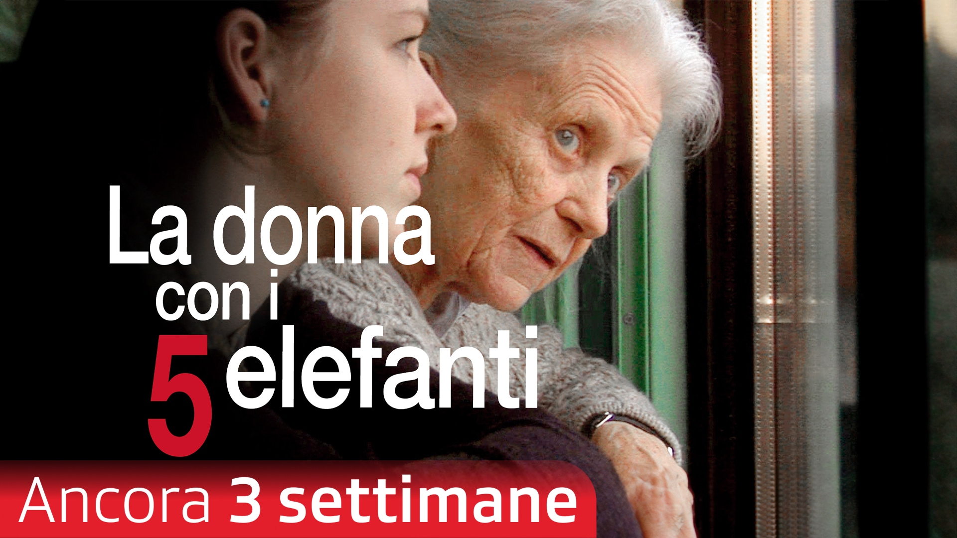 La donna con i 5 elefanti