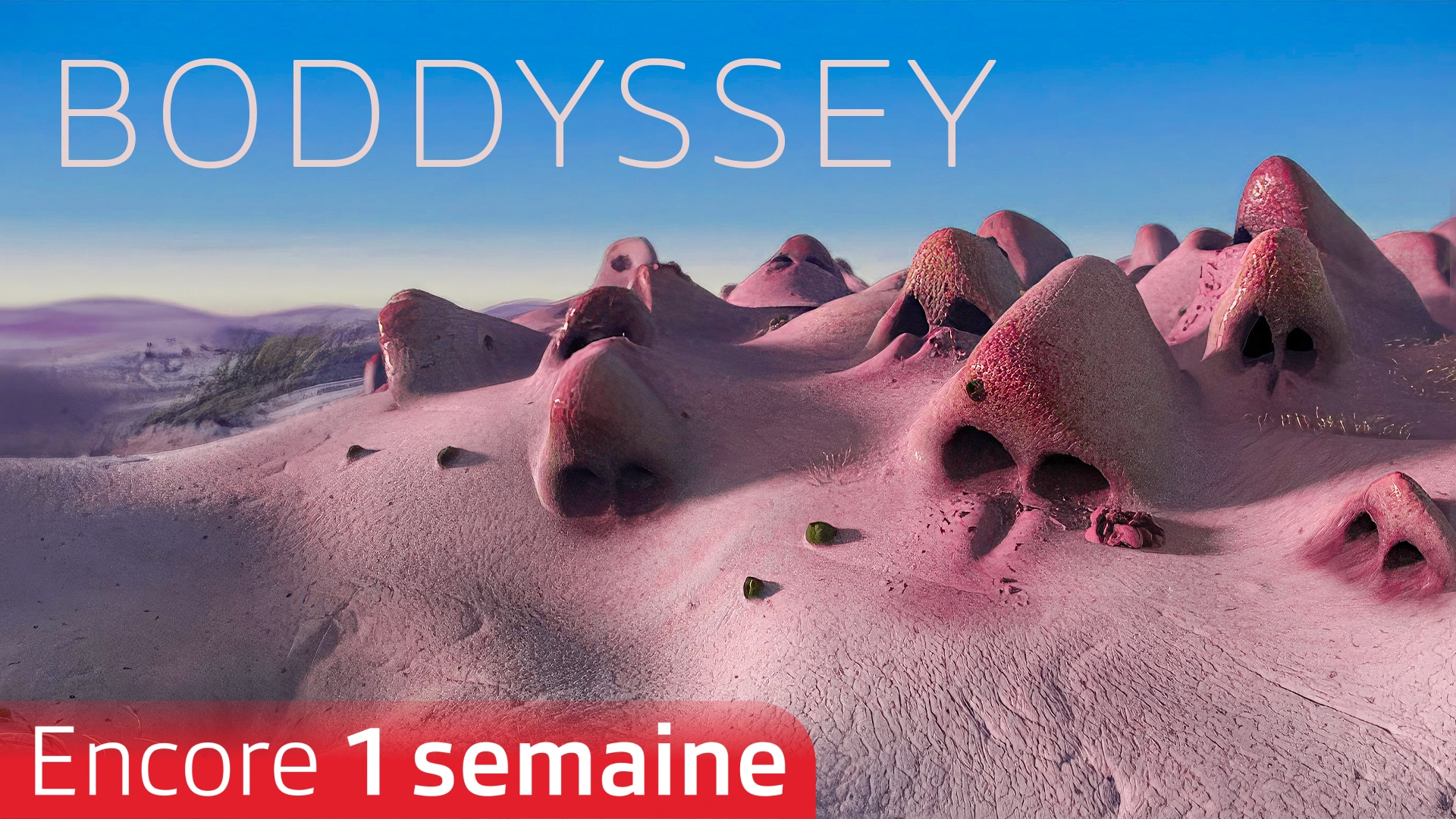 Boddyssey