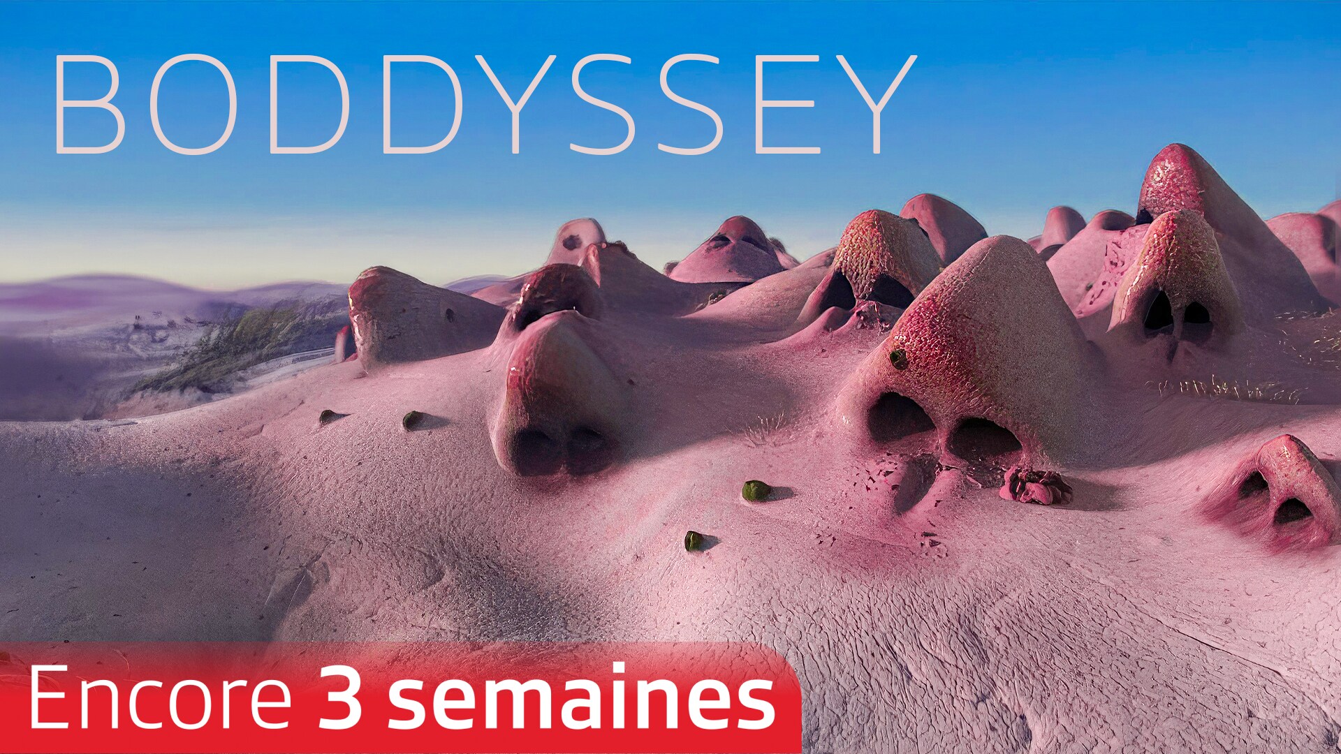 Boddyssey