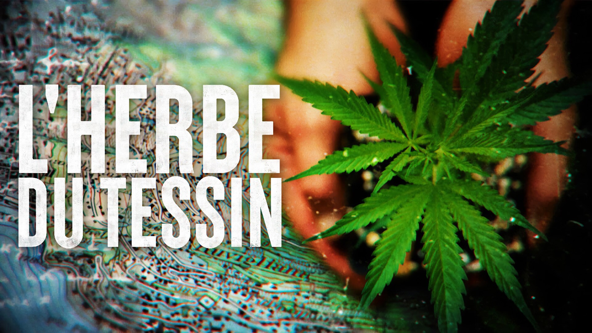 L'herbe folle du Tessin