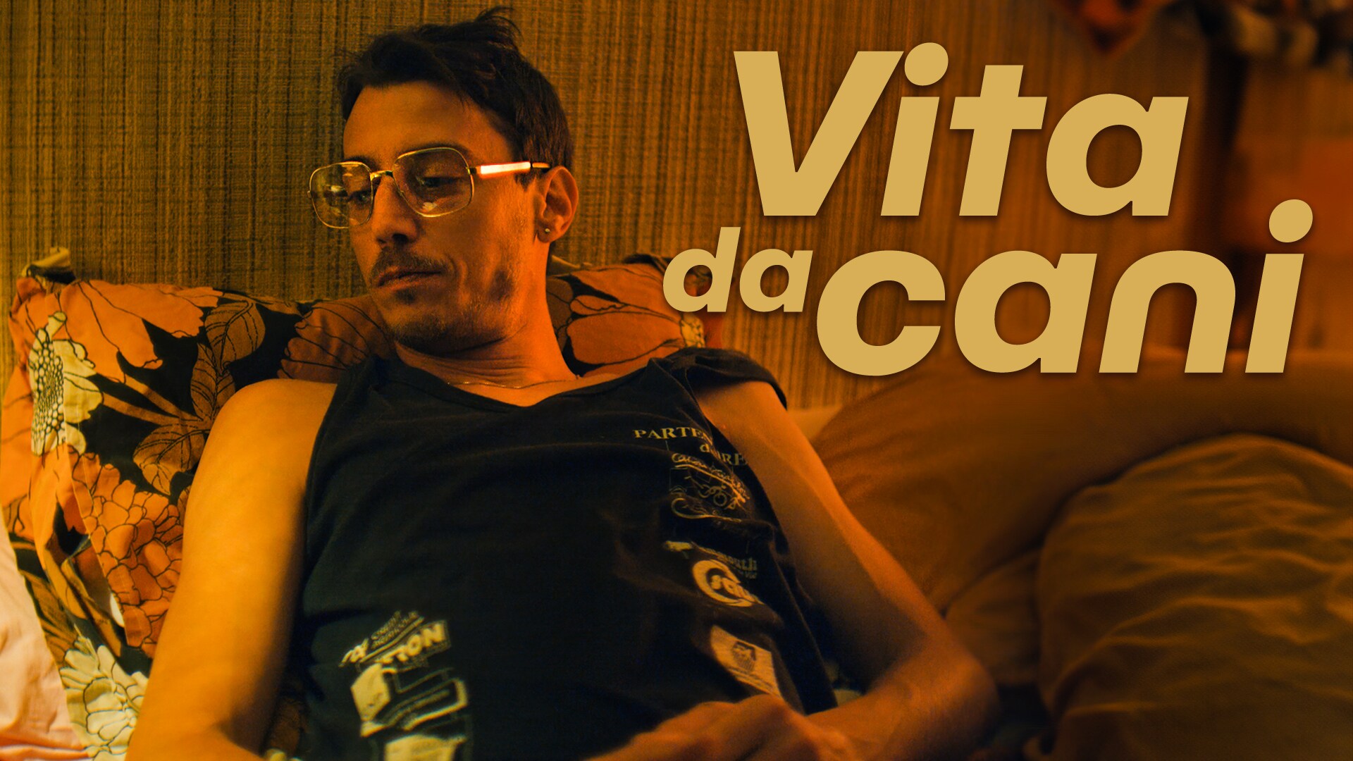 Vita da cani