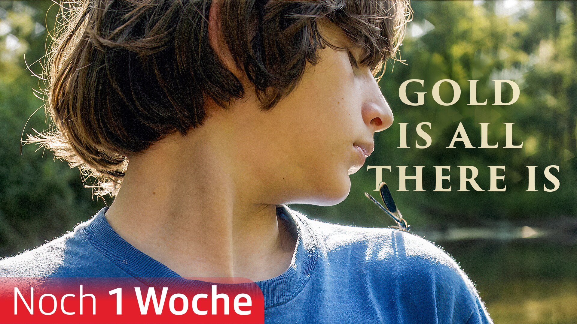 Gold Is All There Is