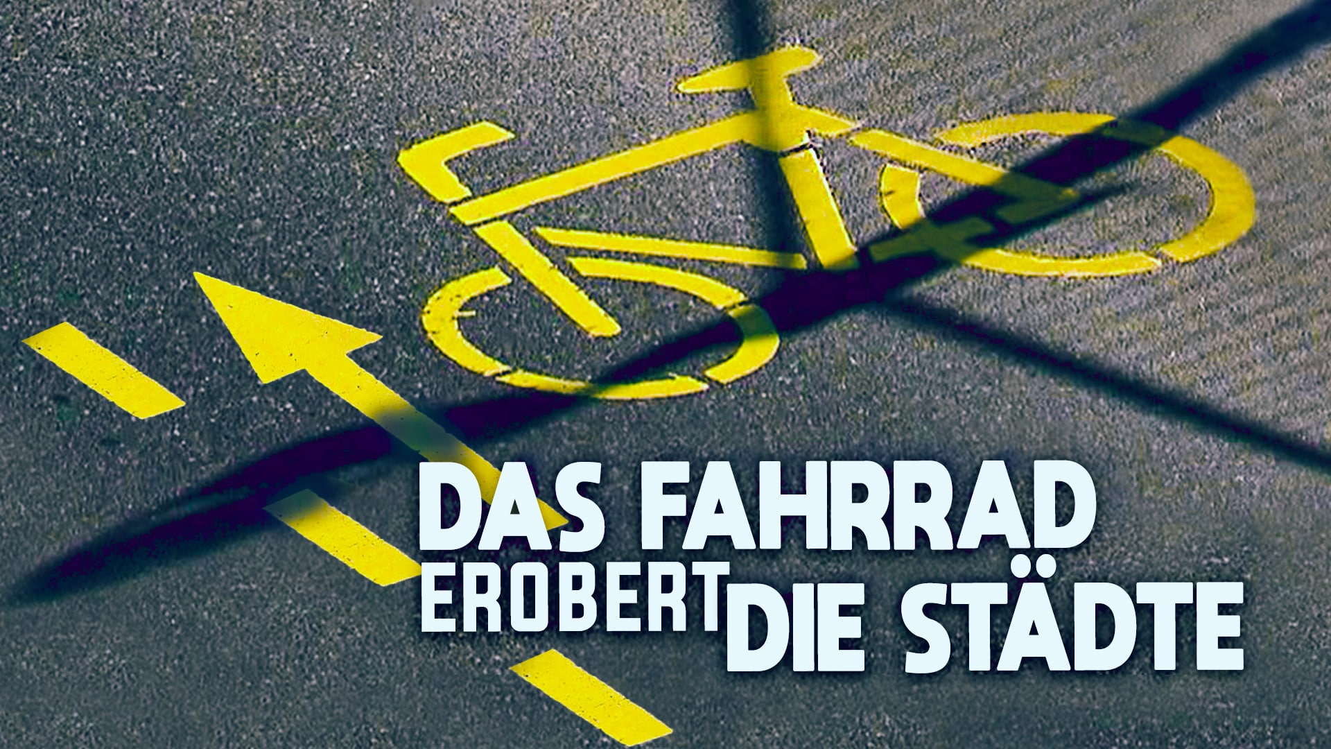 Das Fahrrad erobert die Städte