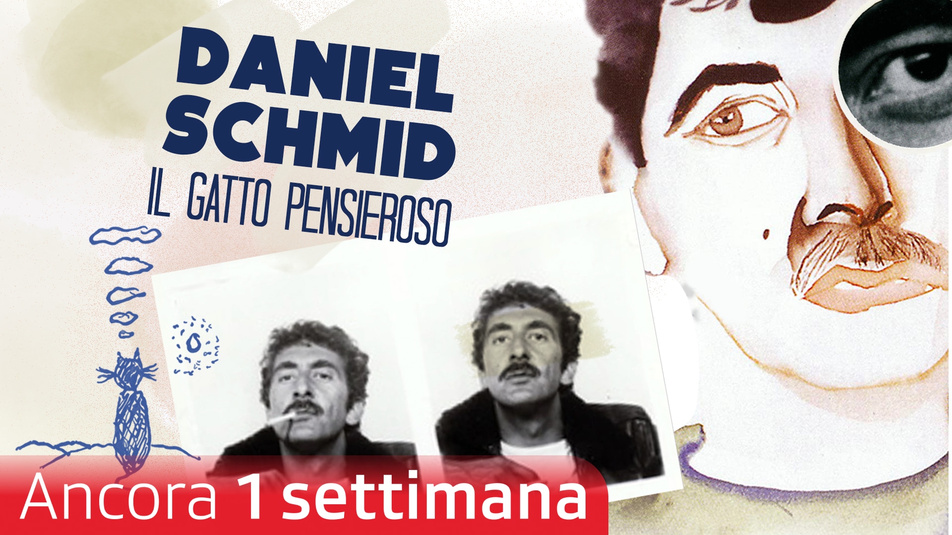 Daniel Schmid - "Il gatto pensieroso"
