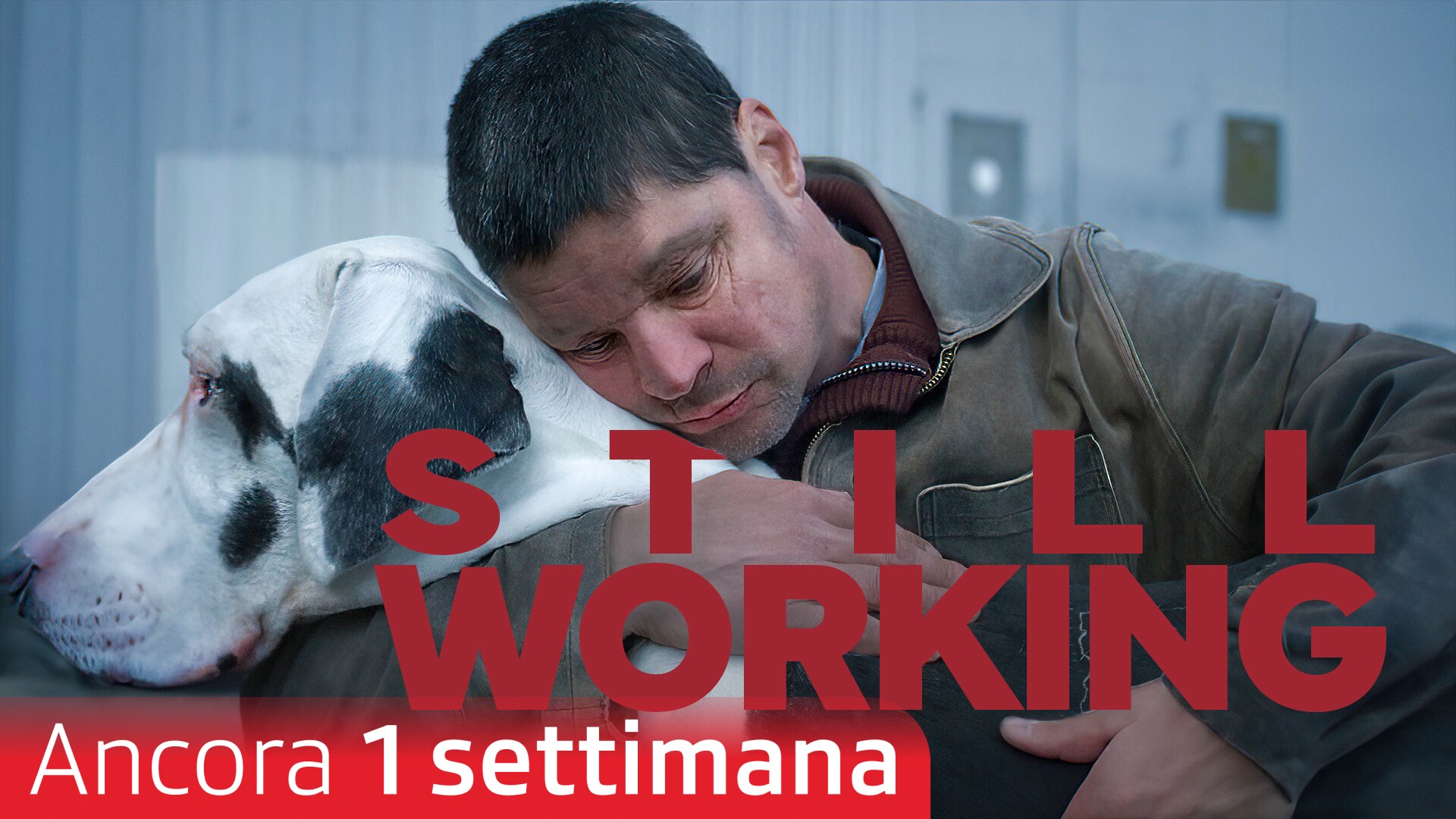 Still Working
