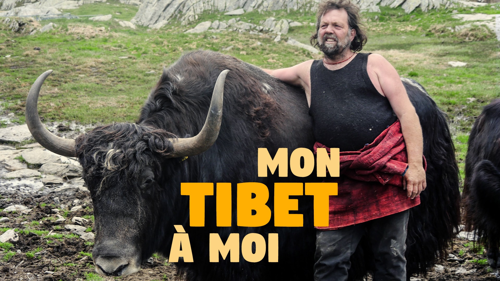 Mon Tibet à moi