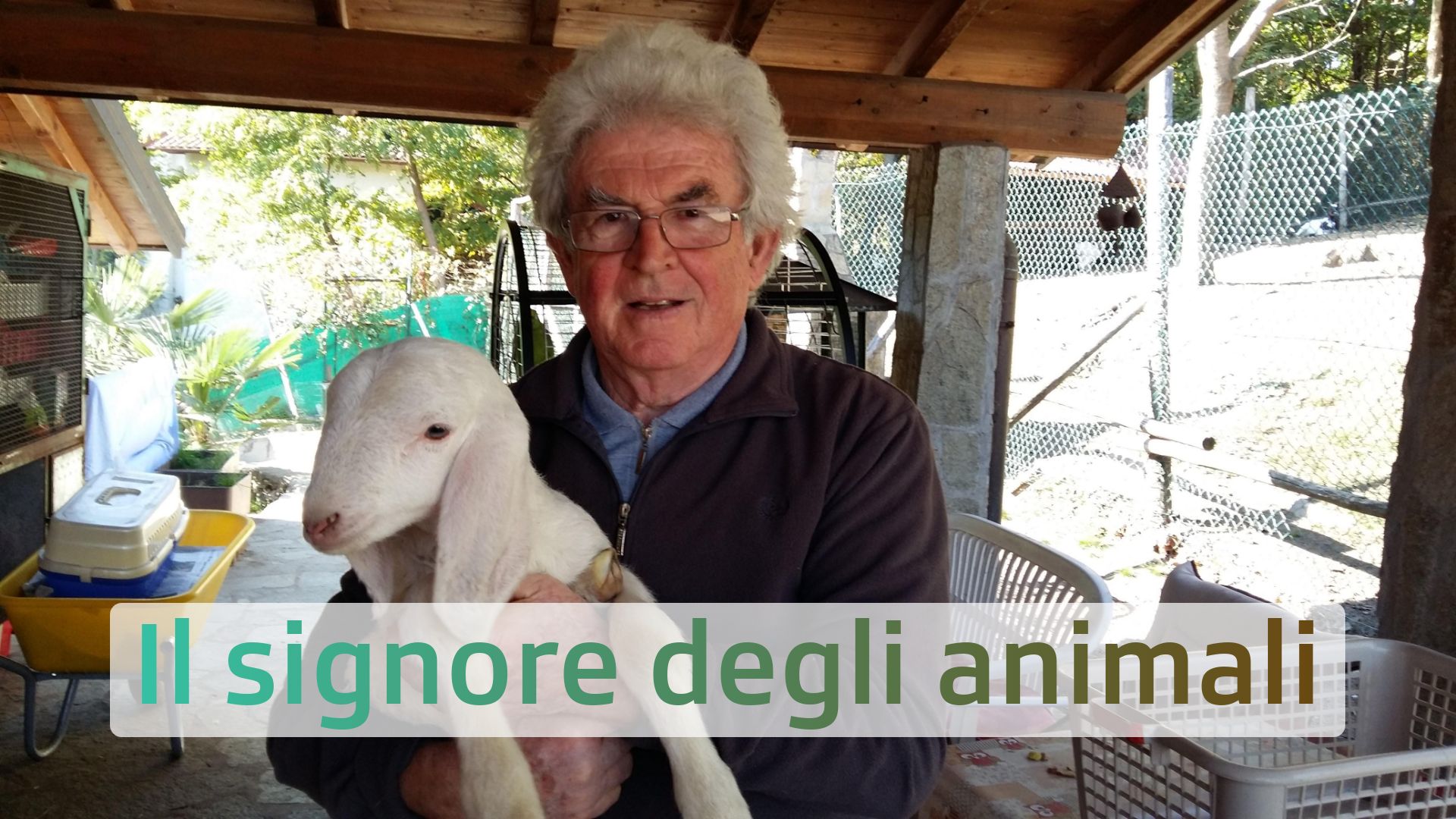 Il signore degli animali