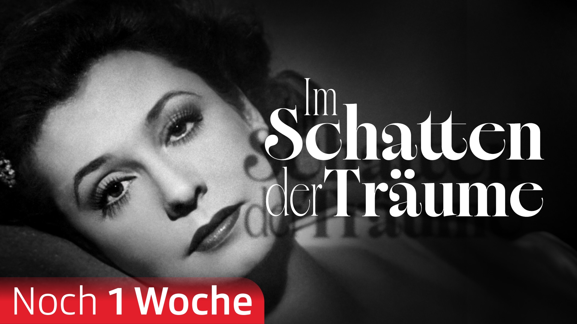 Im Schatten der Träume