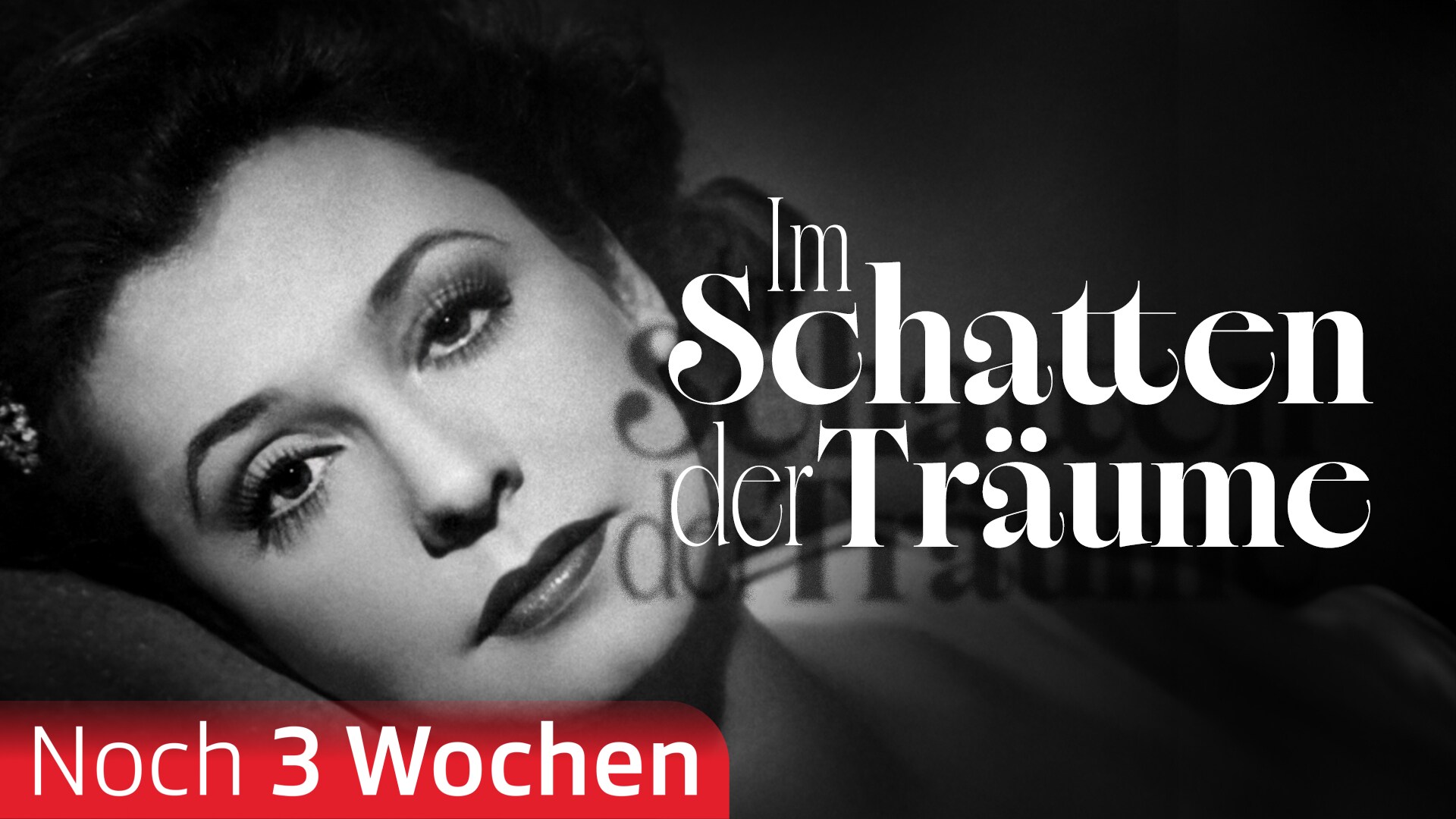 Im Schatten der Träume