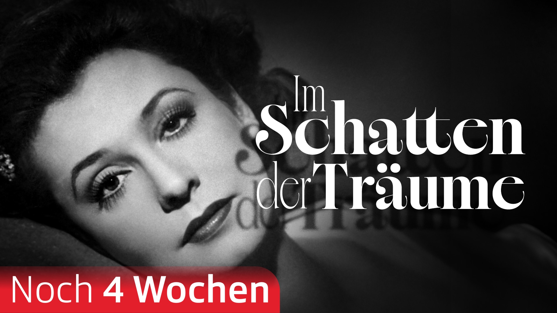 Im Schatten der Träume