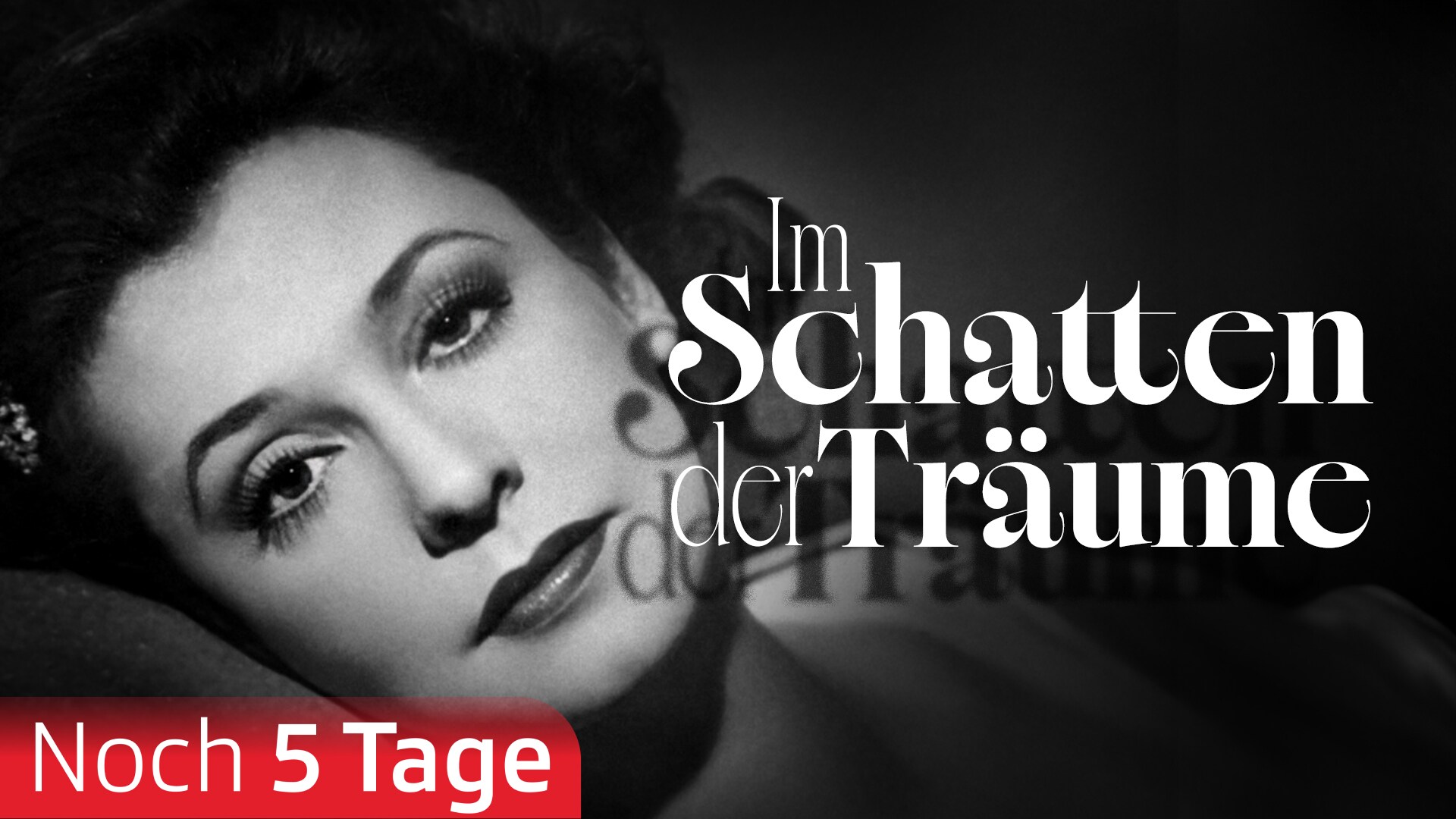 Im Schatten der Träume