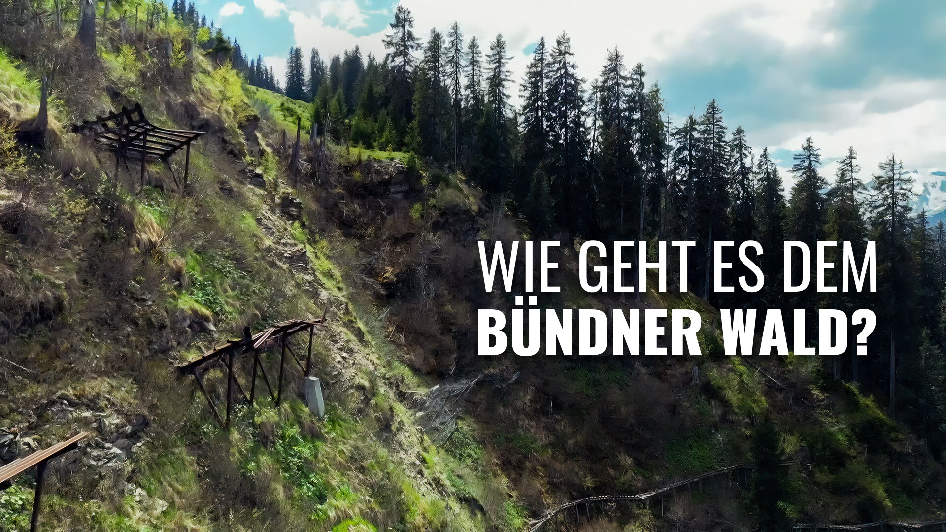 Wie geht es dem Bündner Wald?