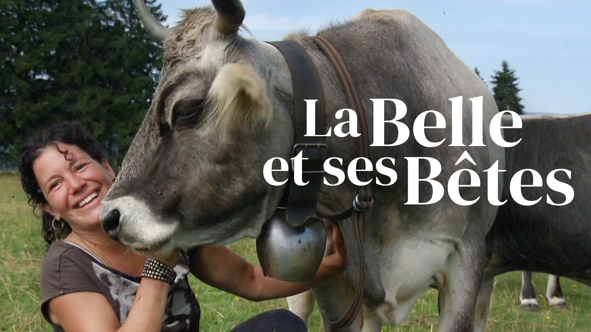 La belle et ses bêtes