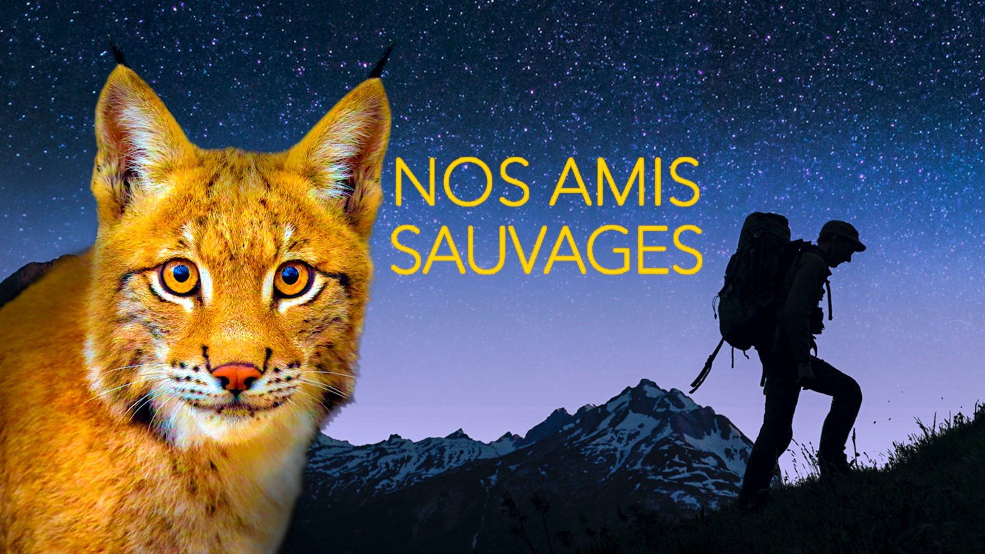 Nos amis sauvages