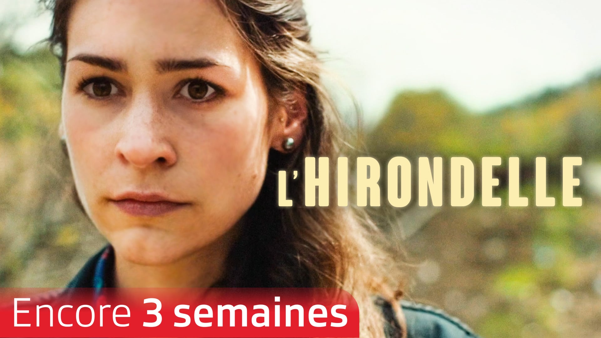 L'hirondelle