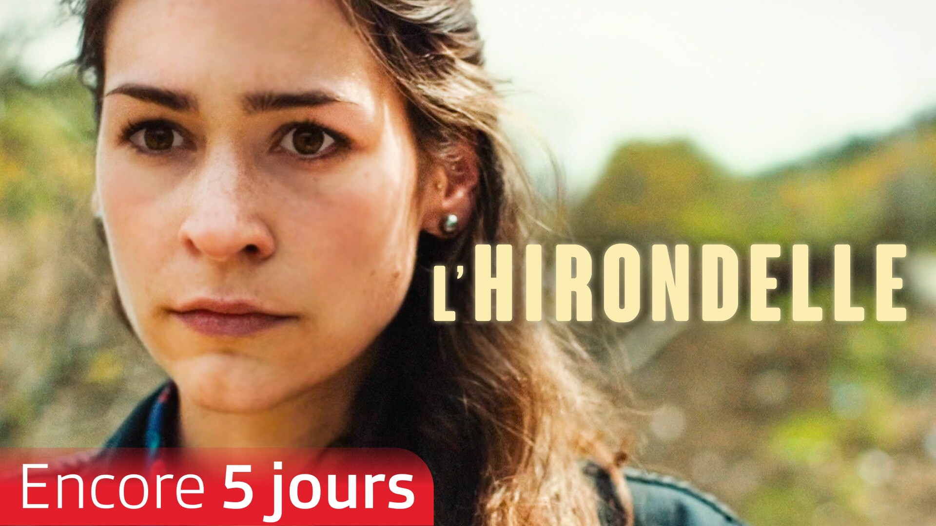 L'hirondelle