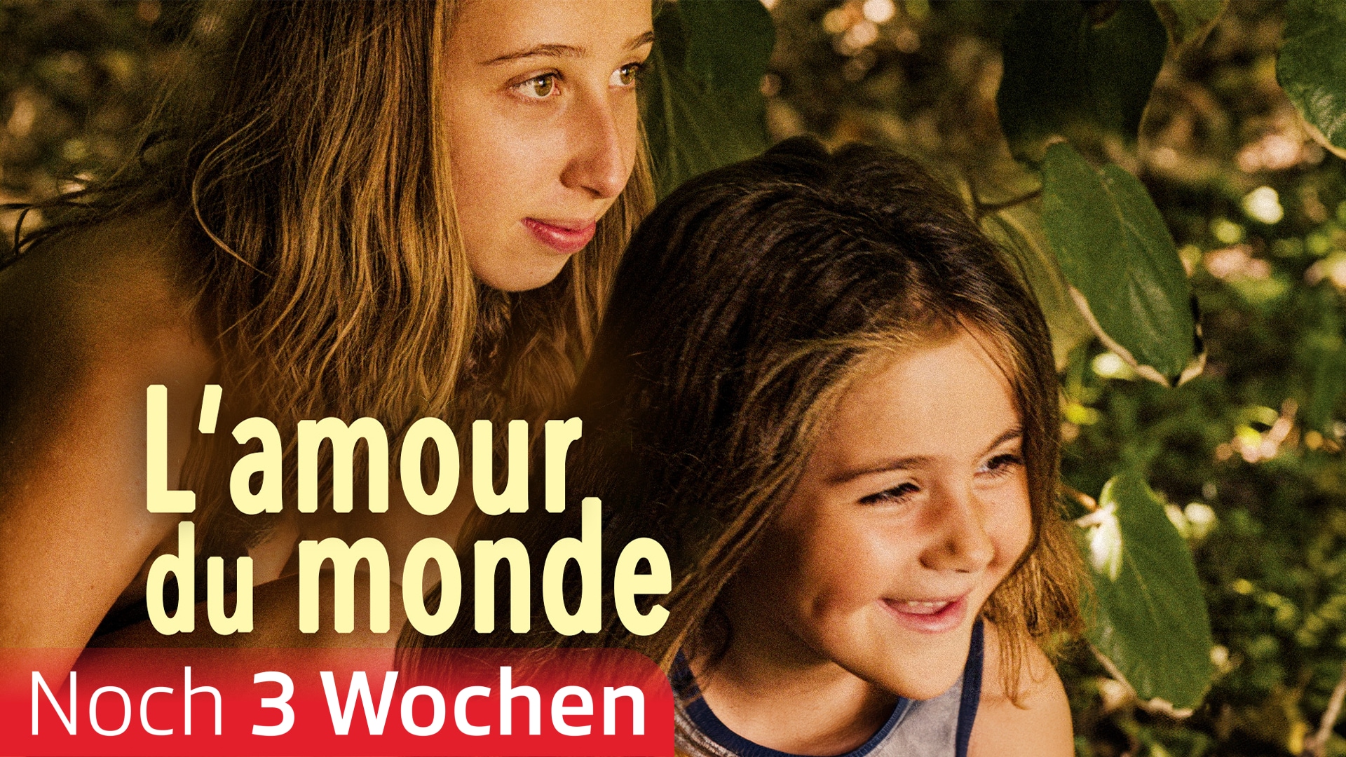 L'amour du monde