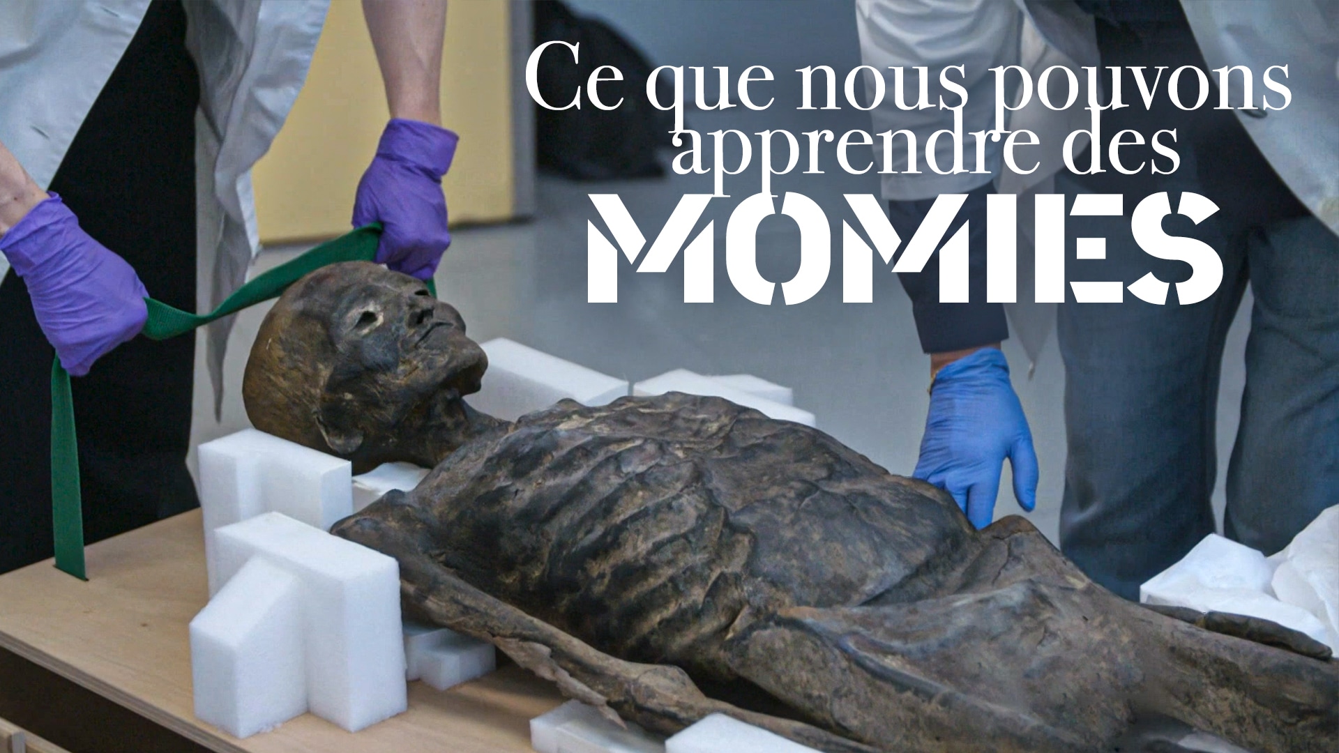 Ce que nous pouvons apprendre des momies