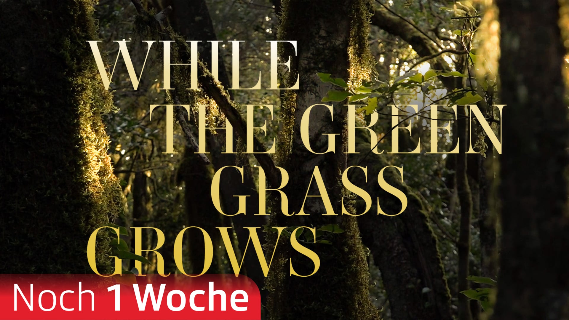 While the Green Gras Grows