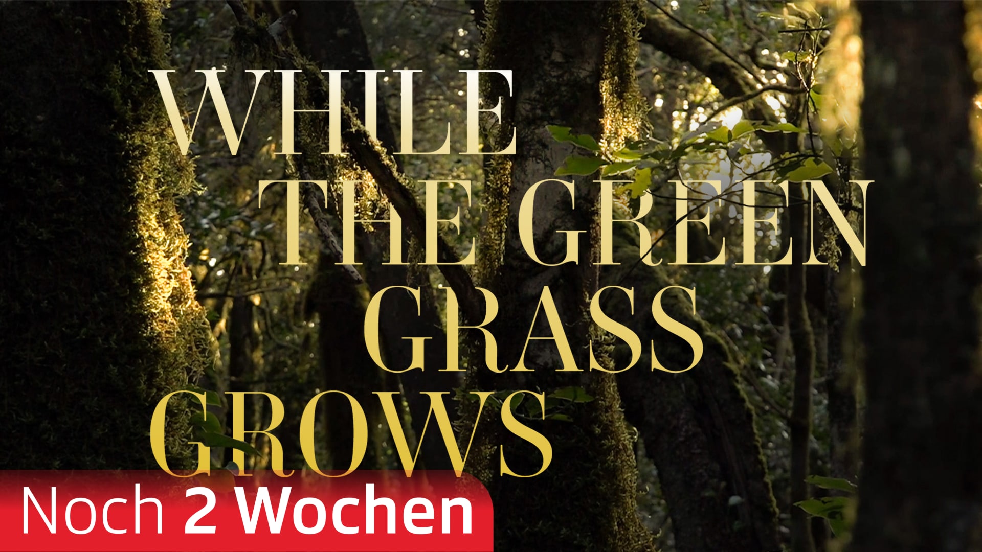 While the Green Gras Grows