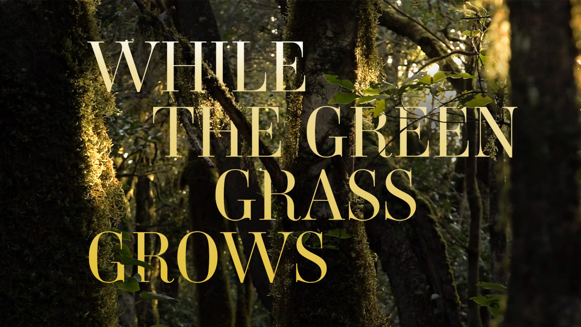 While the Green Gras Grows