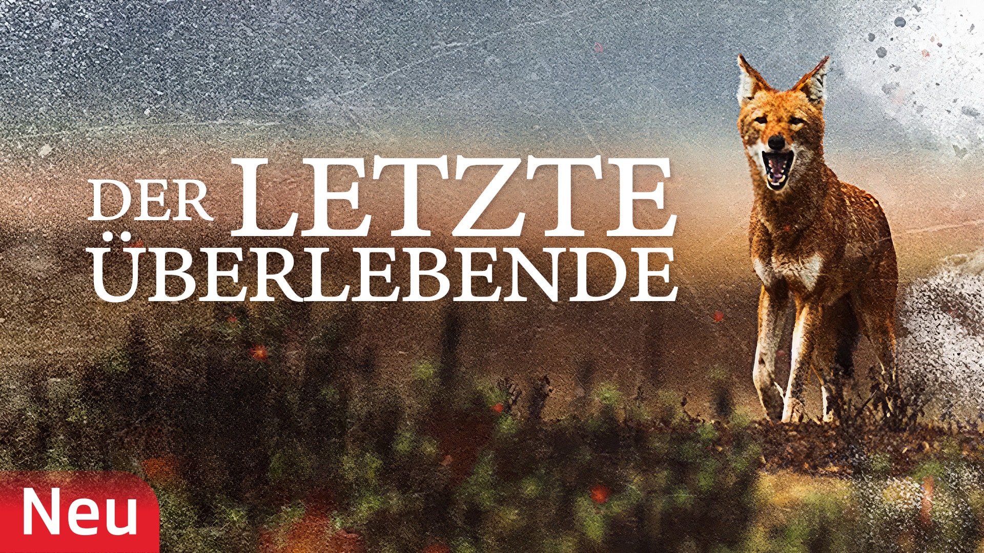 Der letzte Überlebende