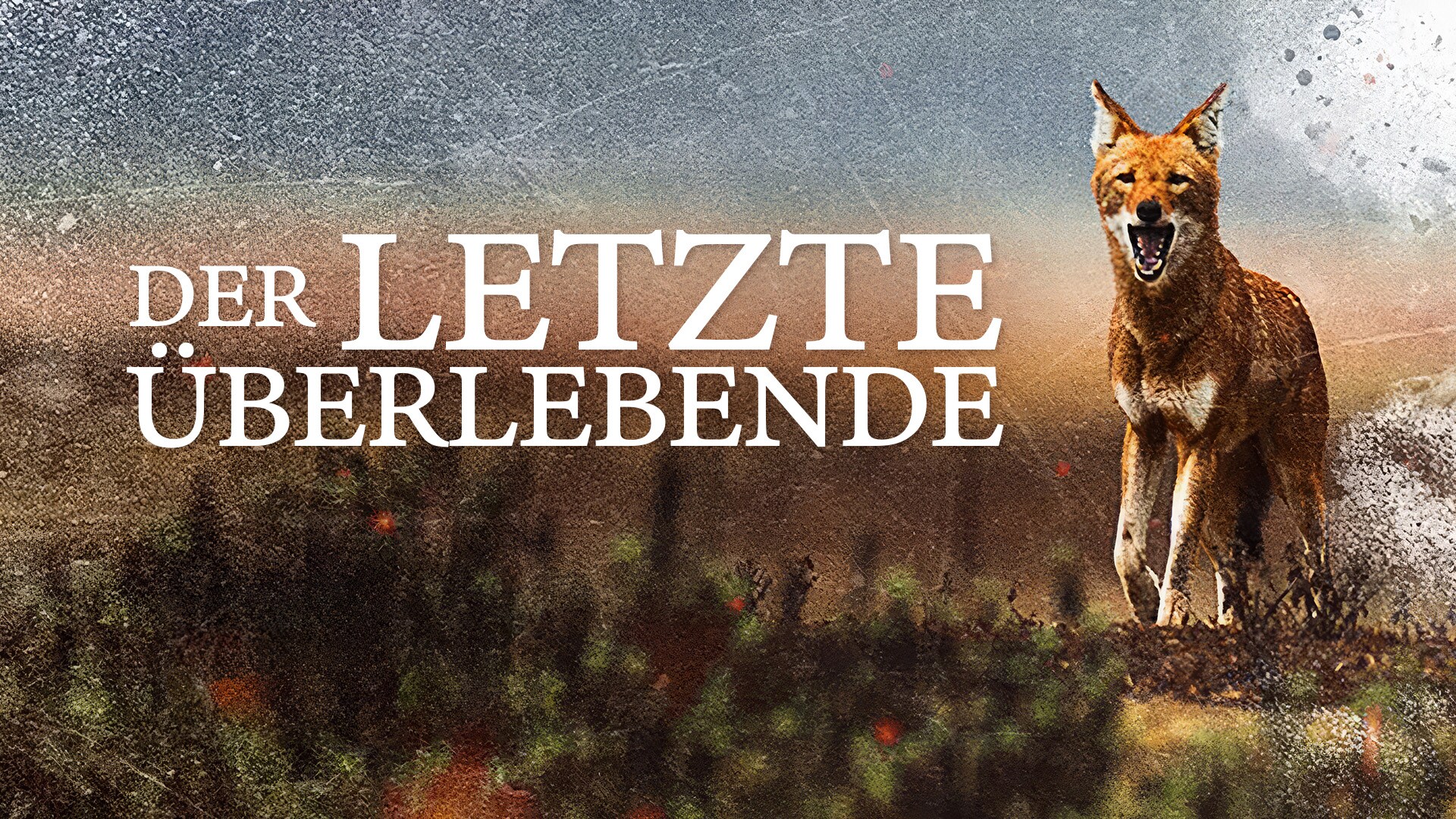 Der letzte Überlebende