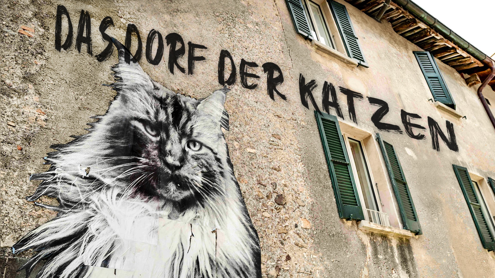 Das Dorf der Katzen