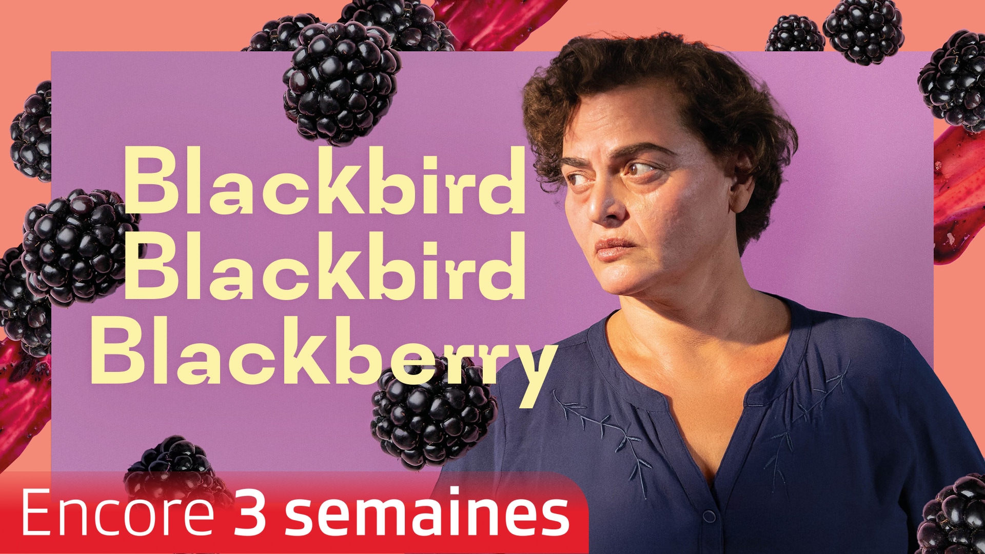 Blackbird Blackbird Blackberry