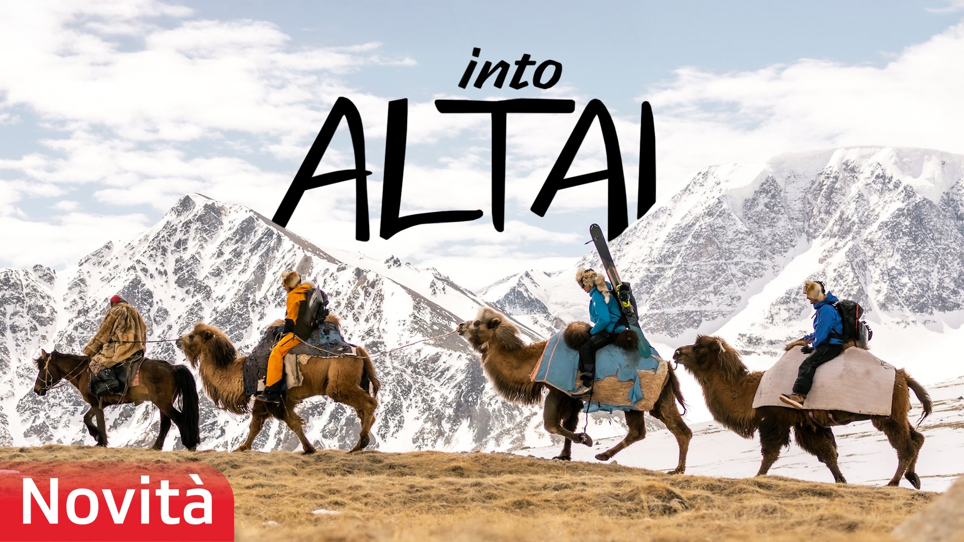 Into Altai