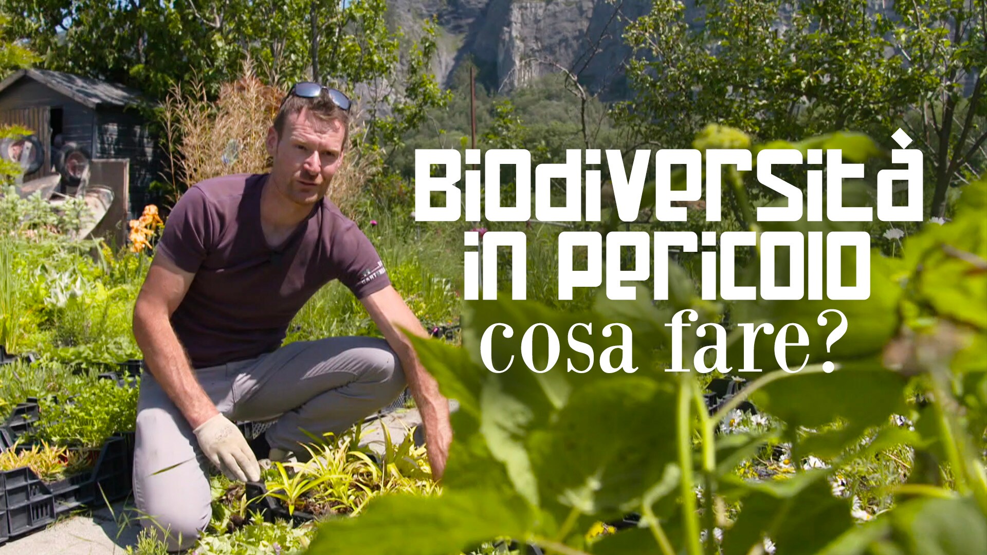 Biodiversità in pericolo - Cosa fare?